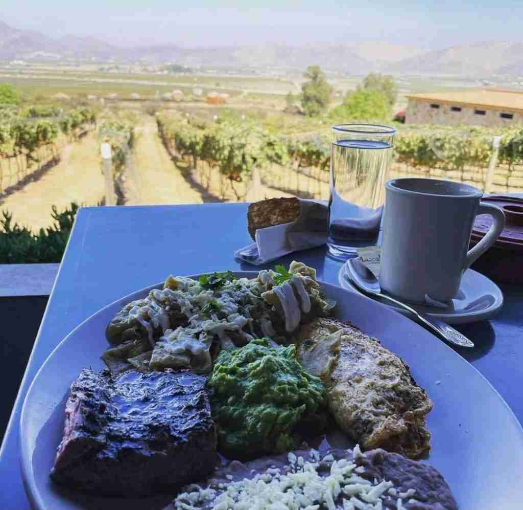 Valle de Guadalupe