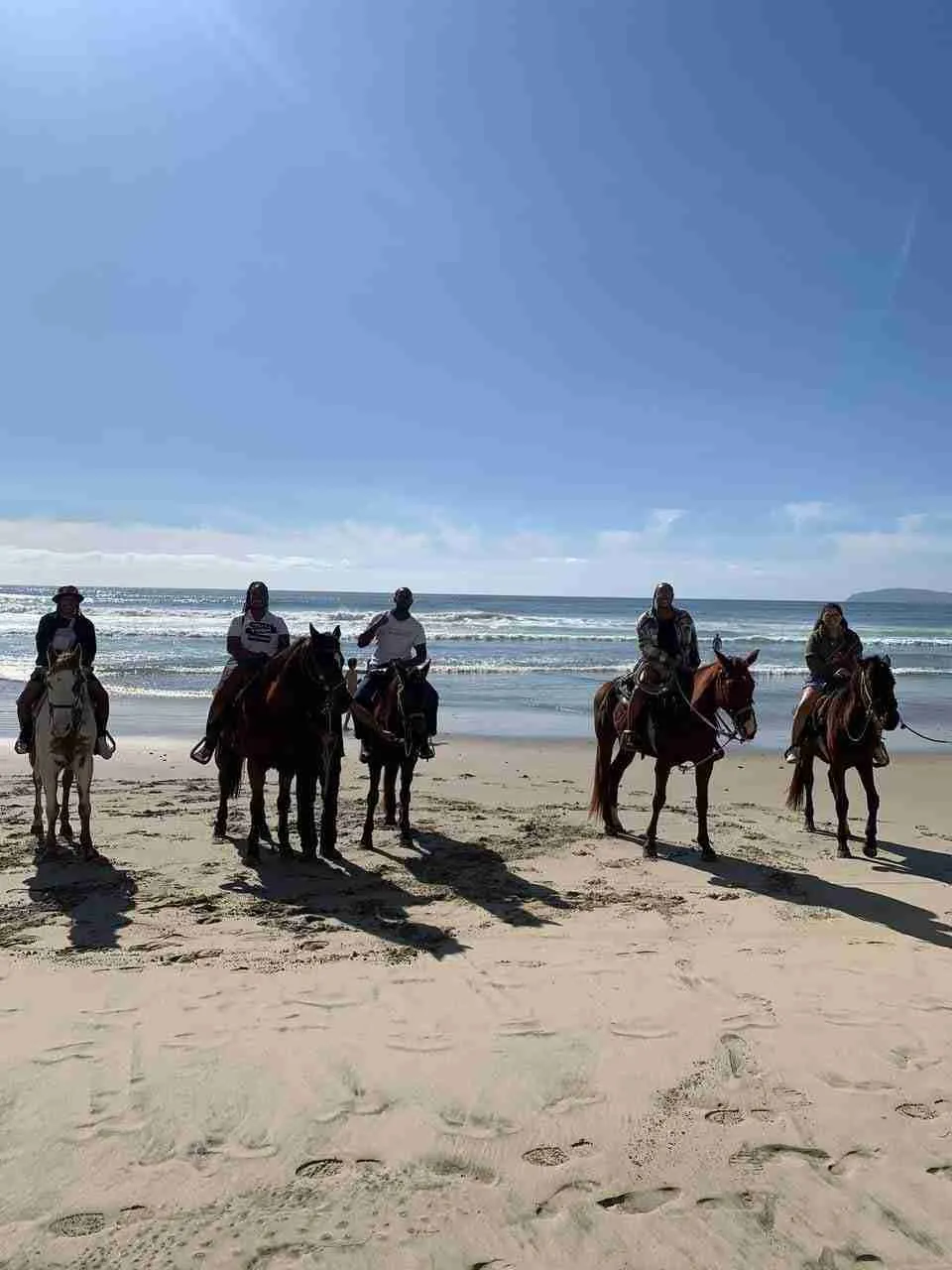 viaje en caballo en Rosarito