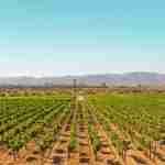 Valle de guadalupe